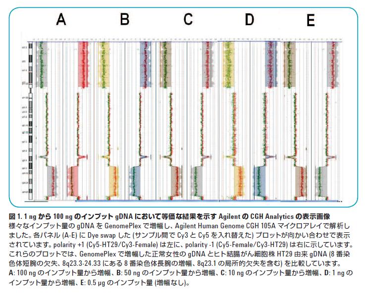 分析結果の一例 イメージ画像