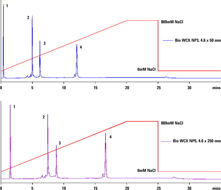 20 分グラジエントを用いた Agilent Bio WCX NP5、4.6 x 250 mm と Bio WCX NP3、4.6 x 50 mm における標準タンパク質分離の比較