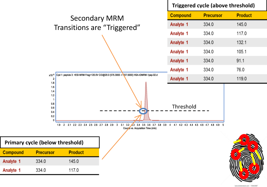 各化合物につき  2 つの 1 次トランジションおよび 5 つの  2 次トランジションを用いた tMRM 分析。2 次 MRM トランジションは、1  次 MRM シグナルがユーザーの定義した閾値を超えた場合にトリガーされます。