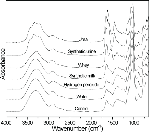 単反射 ATR を用いた FTIR 分光光度計で記録した粉ミルクフィルムのスペクトルにより、違いが明らかになっています。