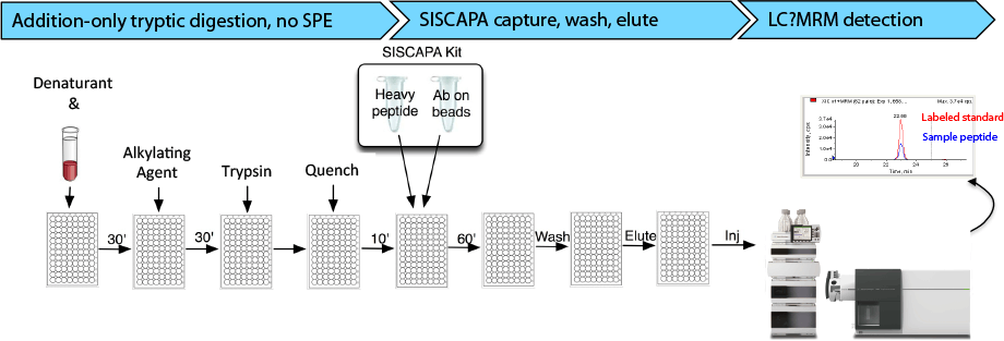Agilent Bravo ロボットおよび Agilent MS を用いた SISCAPA ワークフローでは、6 時間未満の高速分析が可能です。