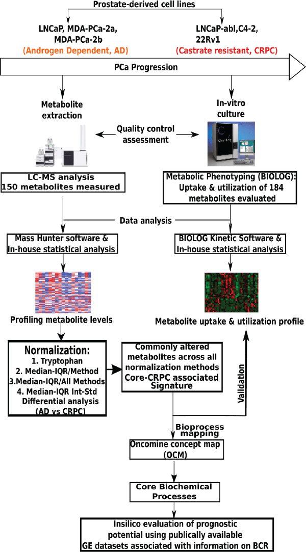 去勢抵抗性前立腺癌の代謝表現型プロファイリングで Kaushi  氏等が使用したワークフロー。