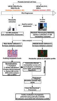 去勢抵抗性前立腺癌の代謝表現型プロファイリングで Kaushi  氏等が使用したワークフロー。