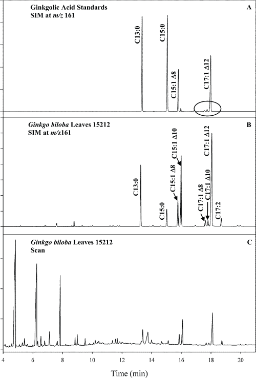 ギンコール酸標準の SIM およびスキャン GC/MS クロマトグラム、およびイチョウ葉のサンプル 15212 を示しています。