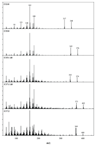 ギンコール酸の EI-MS スペクトル。