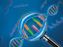 SureSelect Clinical Research Exome V2 | アジレント・テクノロジー SureSelect Clinical Research Exome V2 | アジレント・テクノロジー