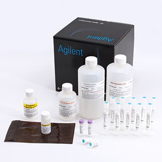 Large Fragment Analysis Kit