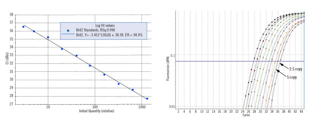 Brilliant Ii Probe Based Qpcr Qrt Pcr Reagents アジレント テクノロジー株式会社