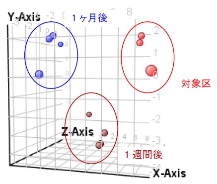 分析結果の一例 イメージ画像