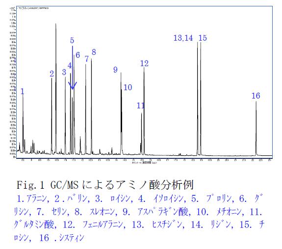 分析結果の一例 イメージ画像