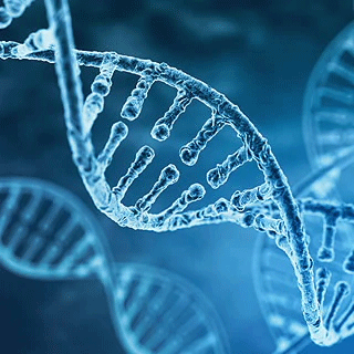 Cancer All-In-One Lung Assay