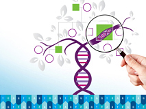 ClearSeq 体質性疾患研究用パネル