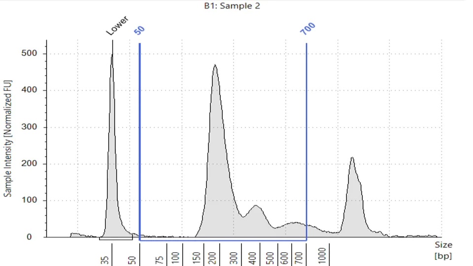 figure2