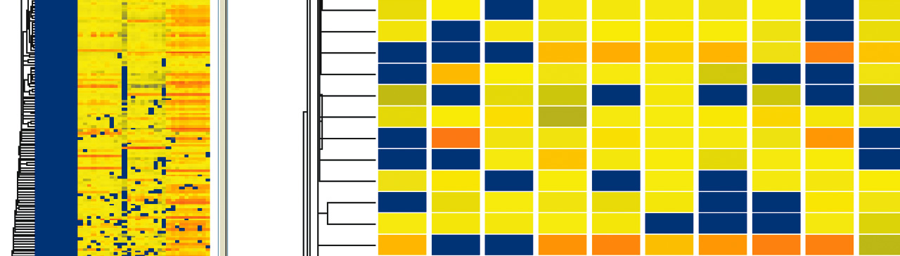 ライフサイエンス 
インフォマティクス