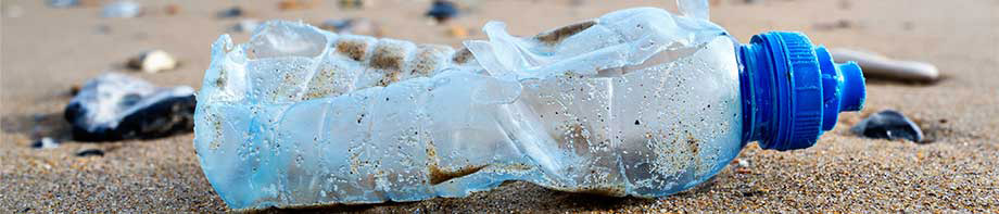マイクロプラスチックの健康上のリスクを解明