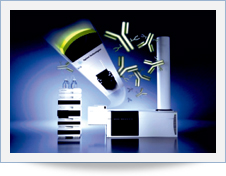 mAB-Glyco-Chip