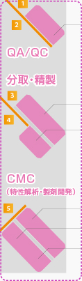 QA/QC 分取・精製 CMC