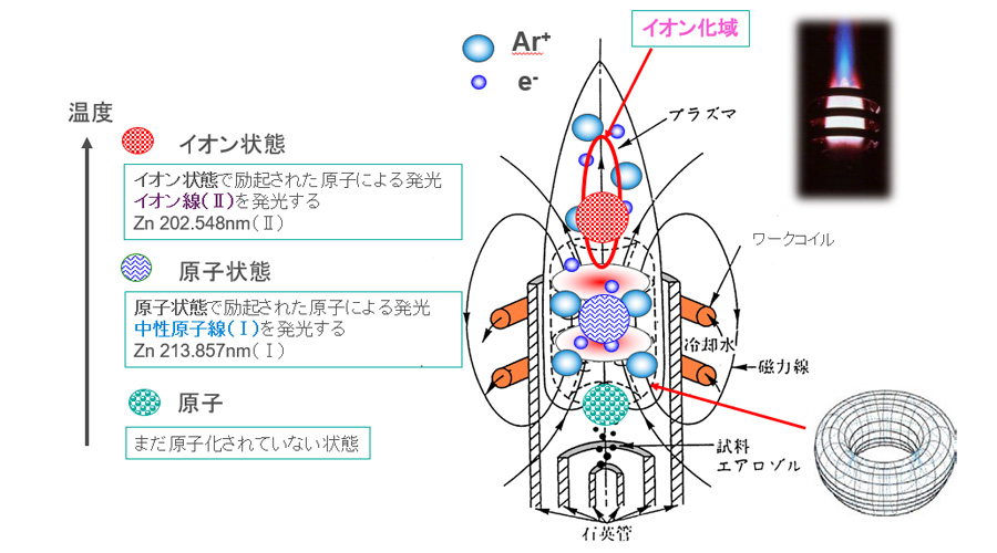 図2. プラズマの構造と原子発光