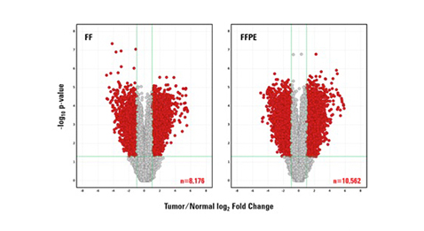 図 1.一致性の高いFF および FFPE 由来の腫瘍対正常組織サンプルの遺伝子発現差解析統計的に有意な fold-change を示す volcano plot。赤い点は、発現比が 2 倍より大きく、補正 p 値が 0.05 より小さい遺伝子を示す。
