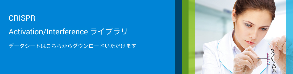 CRISPR Activation/Interference ライブラリ データシートはこちらからダウンロードいただけます