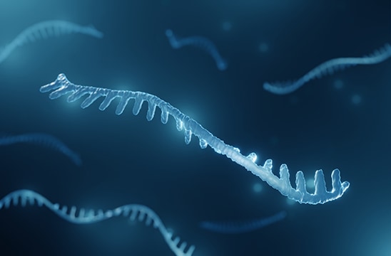 マイクロ RNA の図