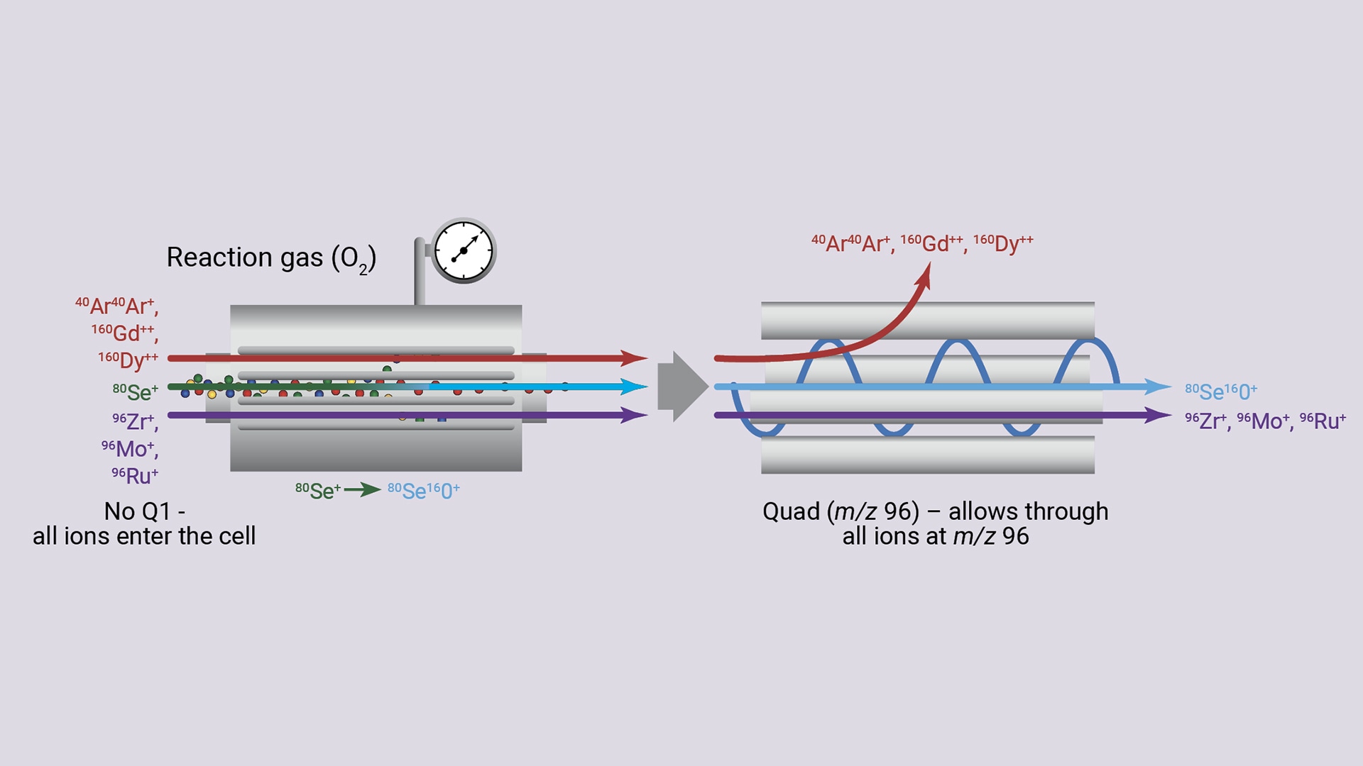 Diagram illustrating ion separation of analyte ion selenium using reaction gas oxygen. All ions enter the cell. Selenium forms SeO. Only ions with a mass-to-charge of 96 pass through a quadrupole filter at m/z 96. The ions include SeO but also Zr, Mo