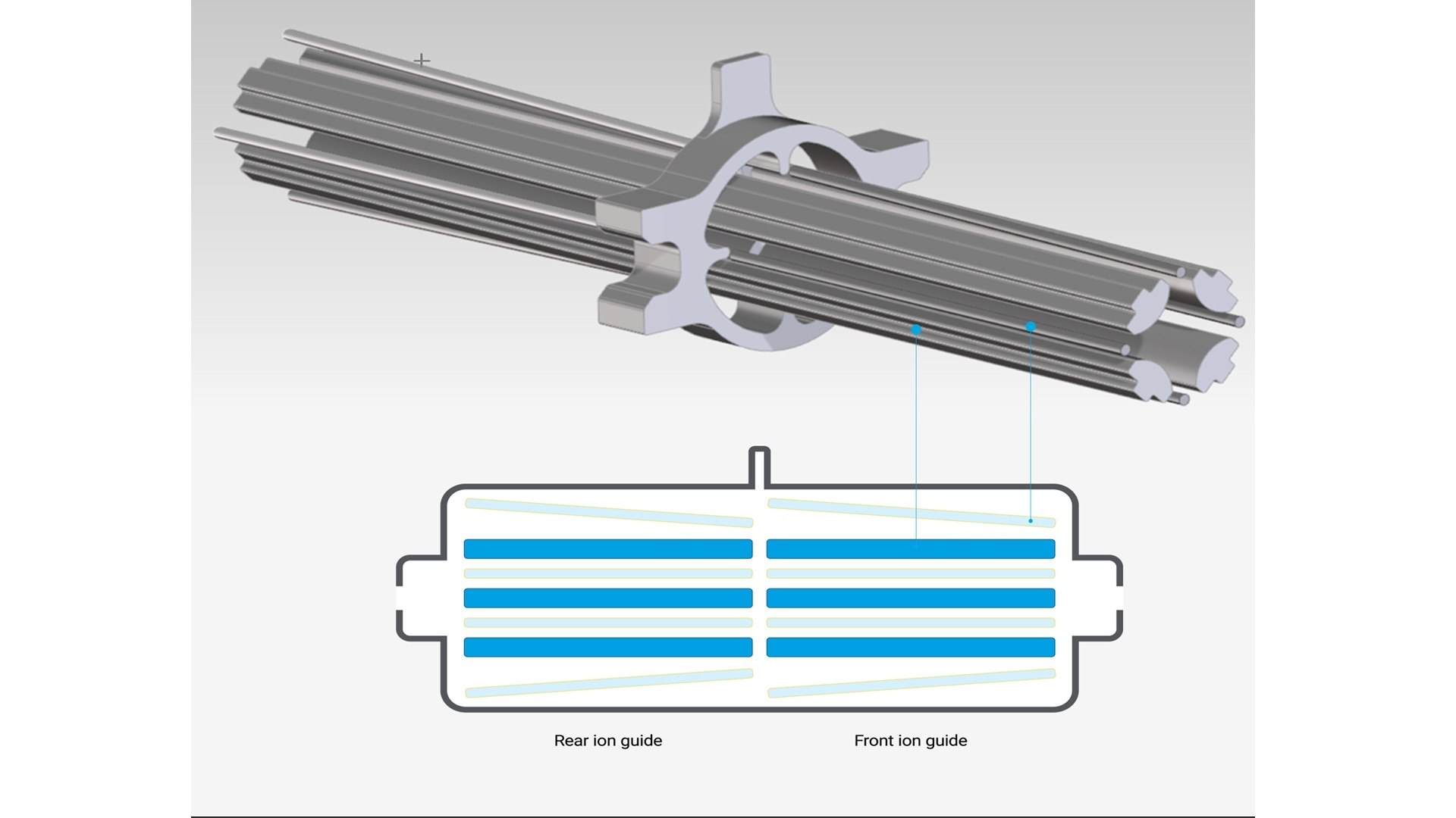 Diagram showing ion guides in a mass spectrometer. The upper part displays rods with blue lines linking to the lower image showing a cross-section and highlights rear and front ion guides.