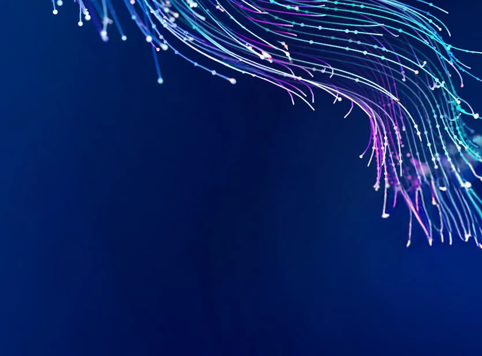 トップページをリニューアル